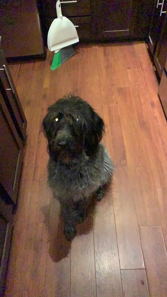 Post 8 by Emily Grace on TikTok (video)