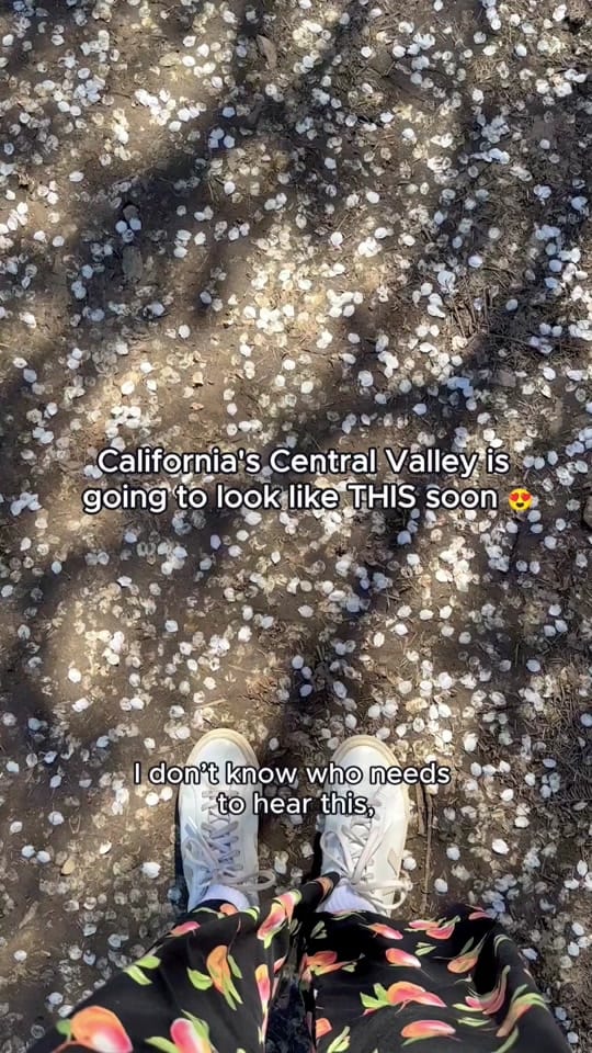 Post 1 by VisitCalifornia on TikTok (video)