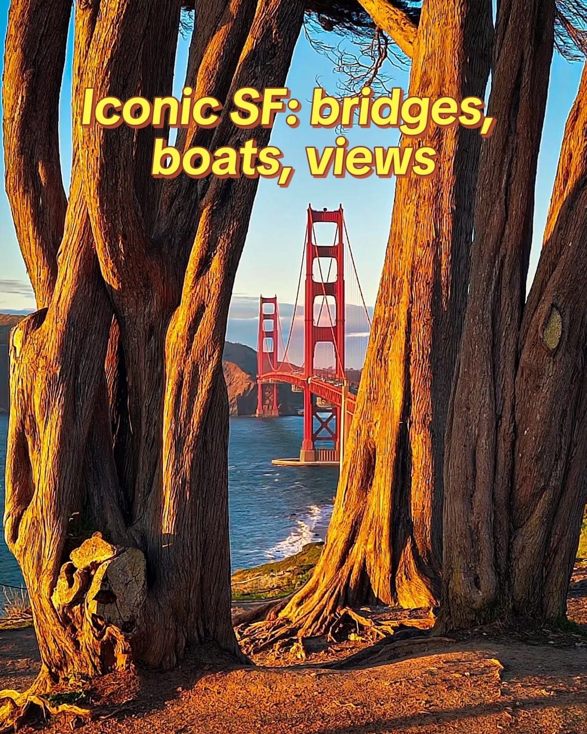 Post 6 by VisitCalifornia on TikTok (video)