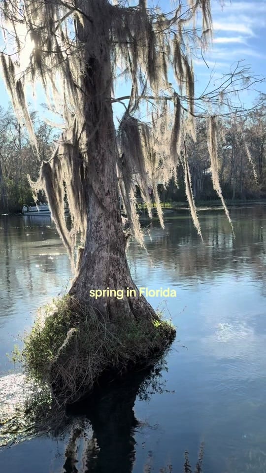 Post 1 by Sky | Travel & Photography on TikTok (video)