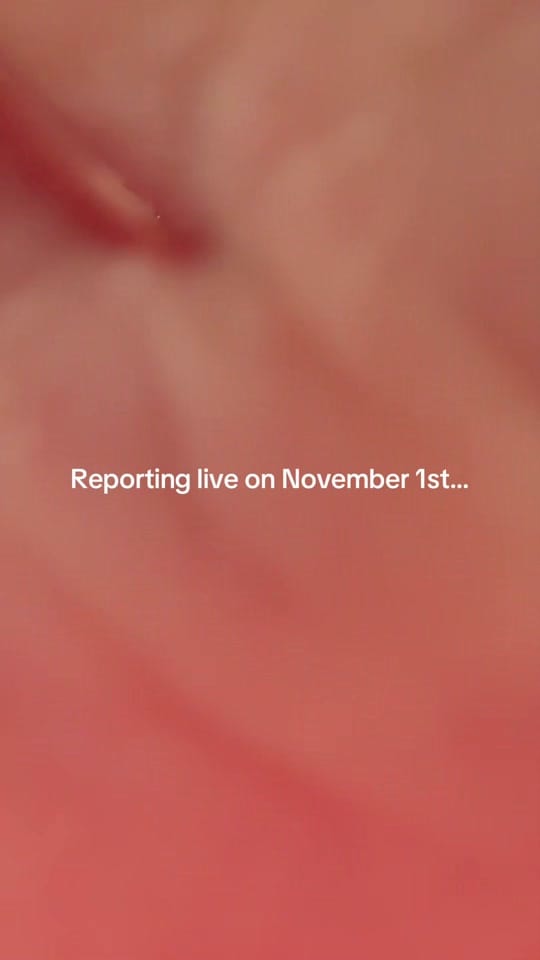 Post 8 by Linda Vuong on TikTok (video)