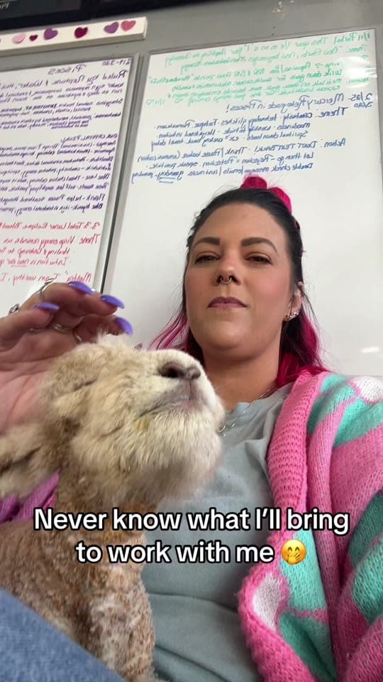 Post 5 by Moon Child Mini Farm on TikTok (video)