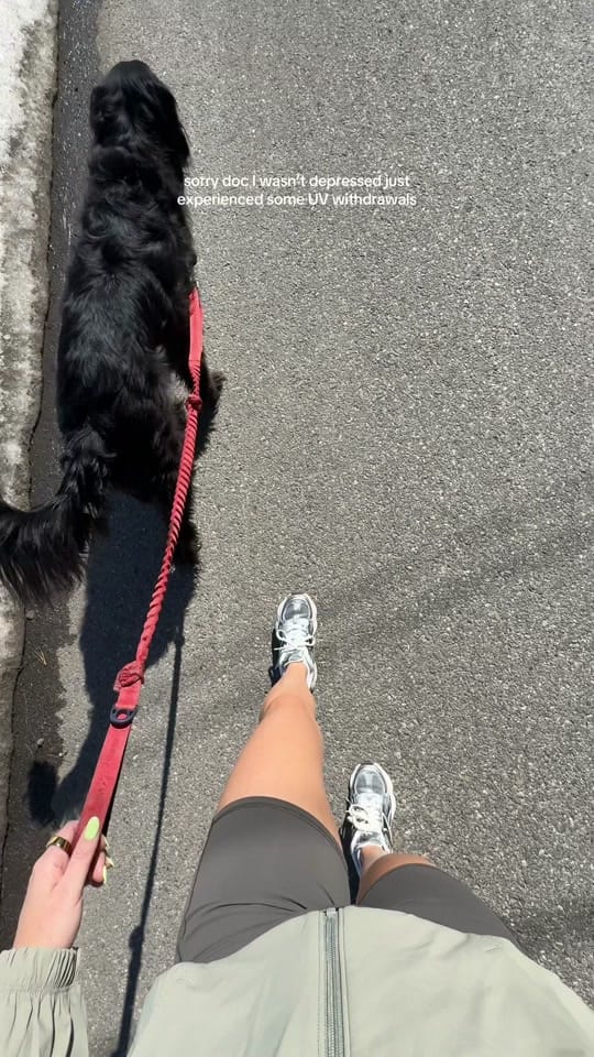 Post 6 by ALLY PARKER on TikTok (video)