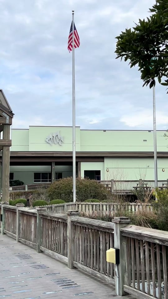 Post 3 by Dodd Creek on TikTok (video)