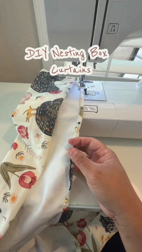 Post 3 by esme🪴| home.garden.hens on TikTok (video)