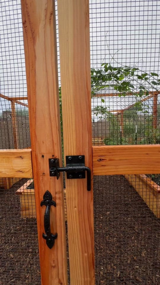 Post 10 by esme🪴| home.garden.hens on TikTok (video)
