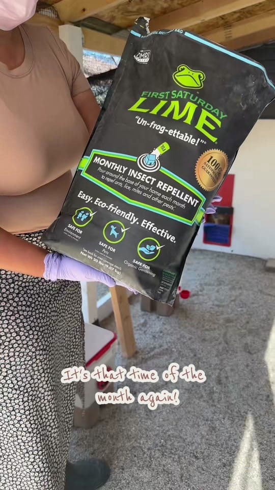 Post 4 by esme🪴| home.garden.hens on TikTok (video)