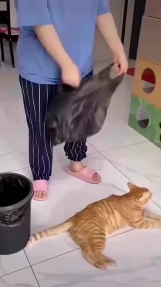 Post 1 by ItsMaVie on TikTok (video)