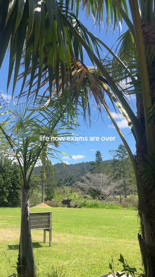 Post 6 by georgia 🌞🪸🌺🌊 on TikTok (video)
