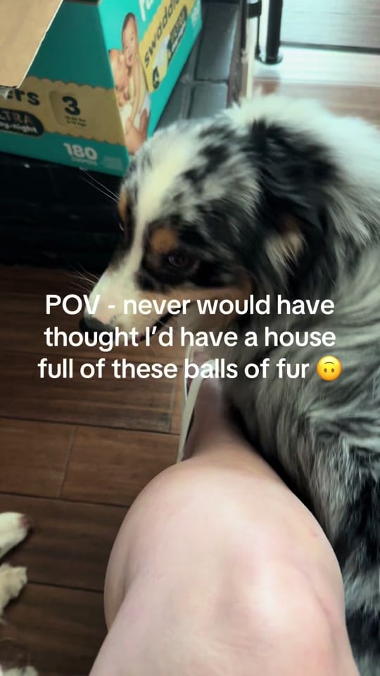 Post 1 by Sarah on TikTok (video)