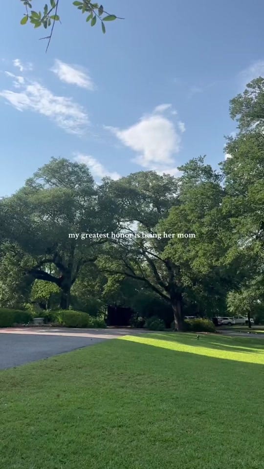 Post 8 by ameliaporch on TikTok (video)