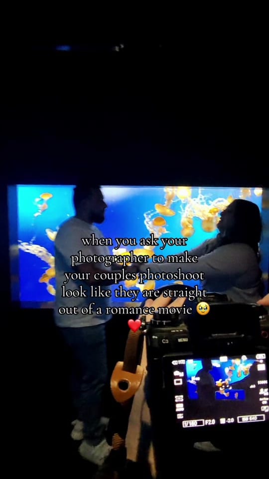 Post 8 by Gardner photography on TikTok (video)