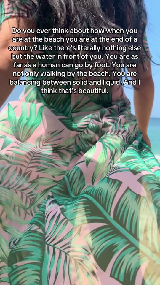 Post 7 by Lily Pozos on TikTok (video)