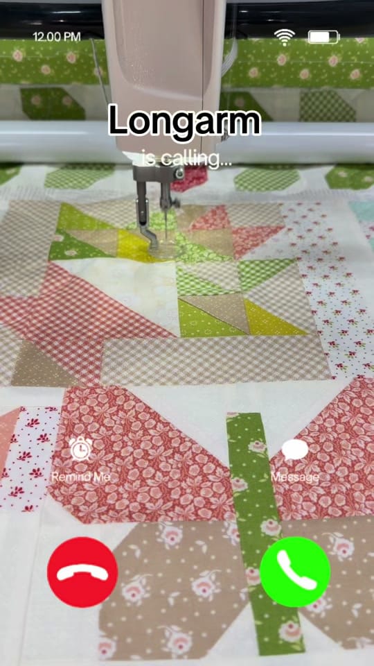 Post 2 by 🦬The Quilted Bison🦬 on TikTok (video)