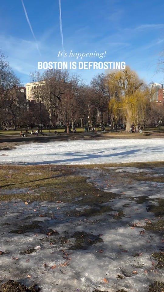 Post 5 by MakeBostonHome on TikTok (video)