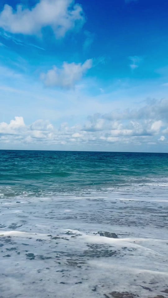 Post 3 by TristaV on TikTok (video)