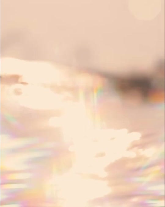 Post 4 by Sarah Lee on TikTok (video)