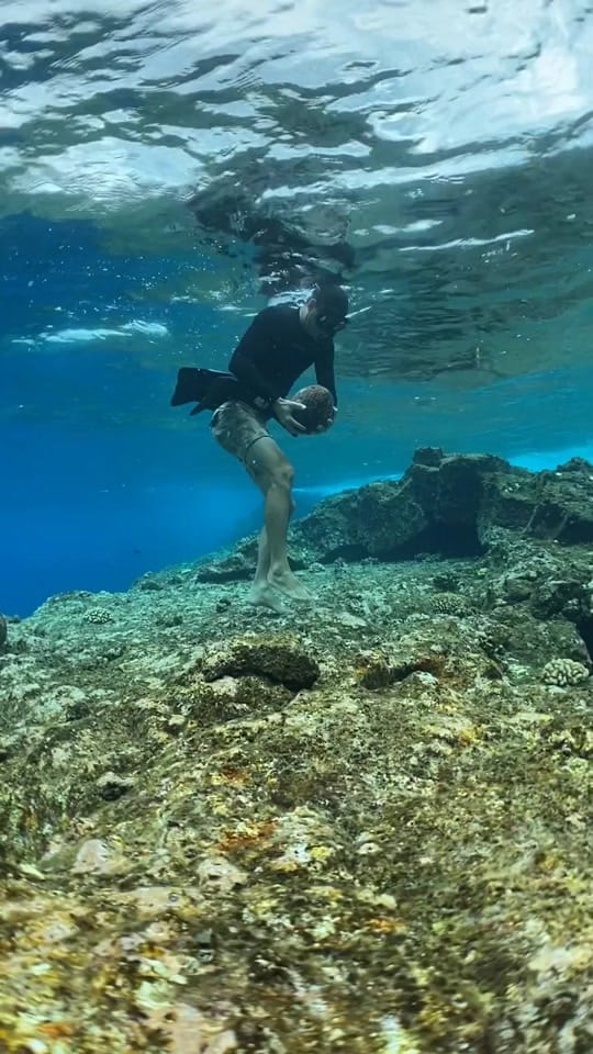 Post 1 by Sarah Lee on TikTok (video)