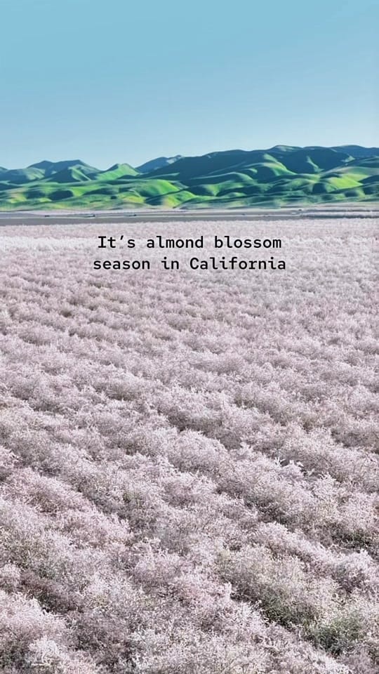 Post 4 by Asya • Travel + California on TikTok (video)