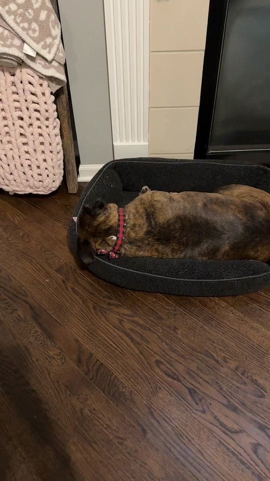 Post 2 by Meredith Realty Group Indiana on TikTok (video)