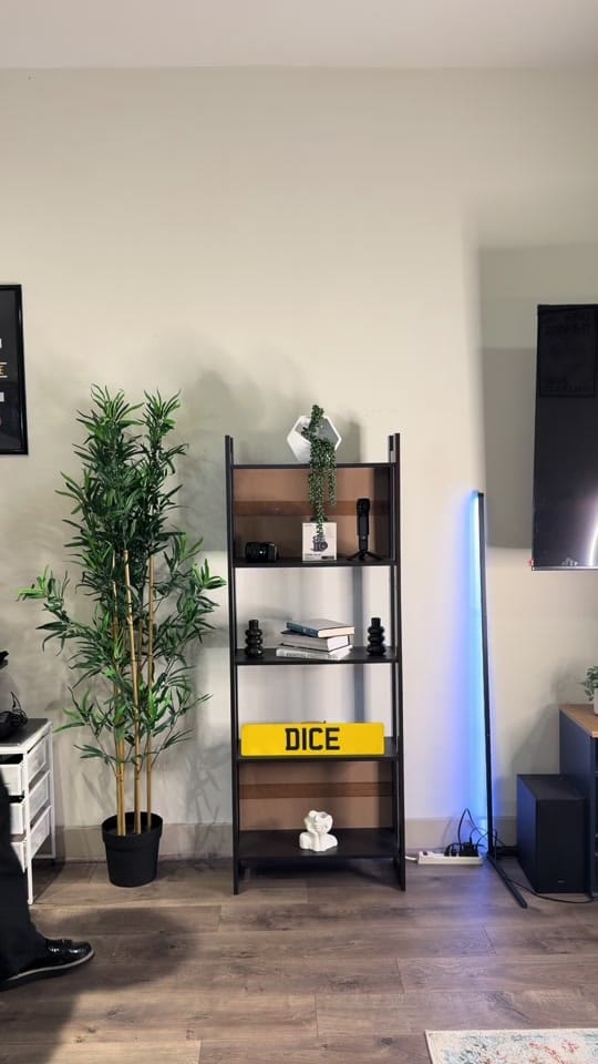 Post 1 by Dice on TikTok (video)
