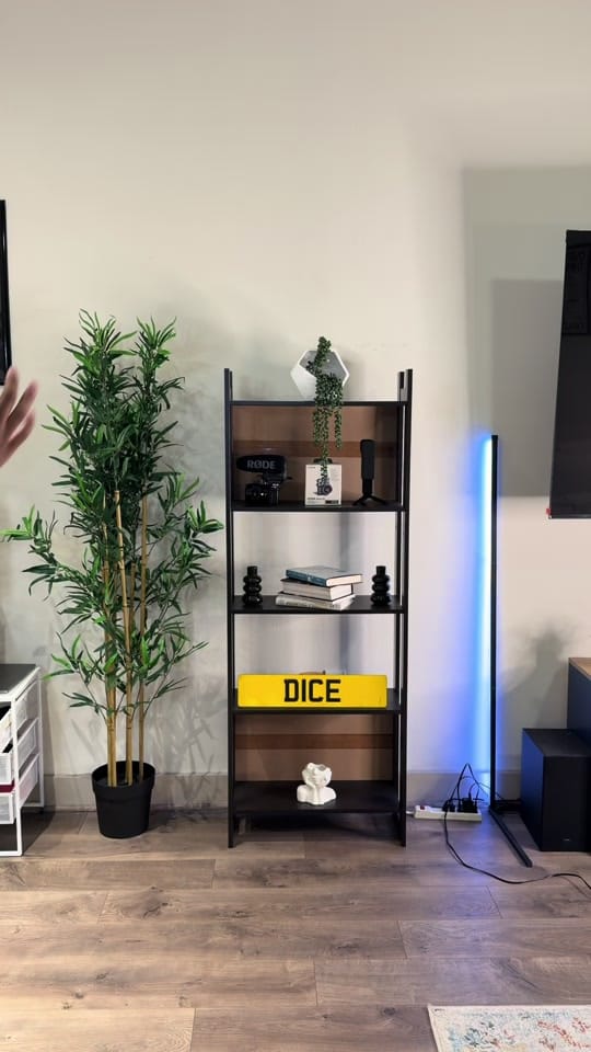 Post 4 by Dice on TikTok (video)