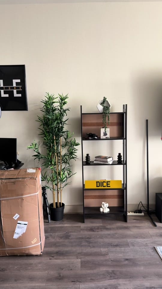 Post 7 by Dice on TikTok (video)