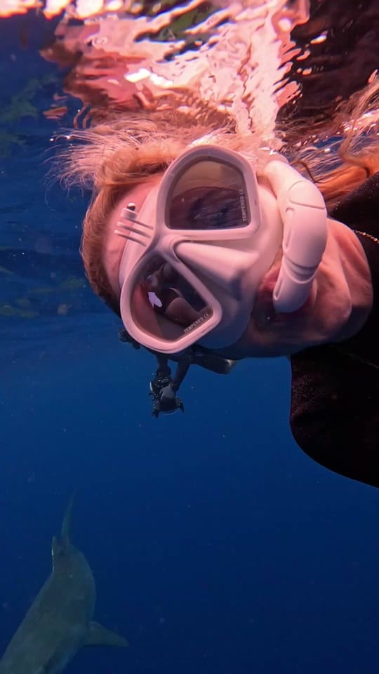 Post 4 by Rachel Strohl Freediver on TikTok (video)
