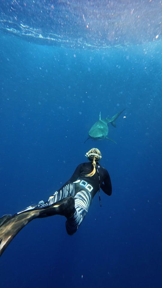 Post 3 by Rachel Strohl Freediver on TikTok (video)