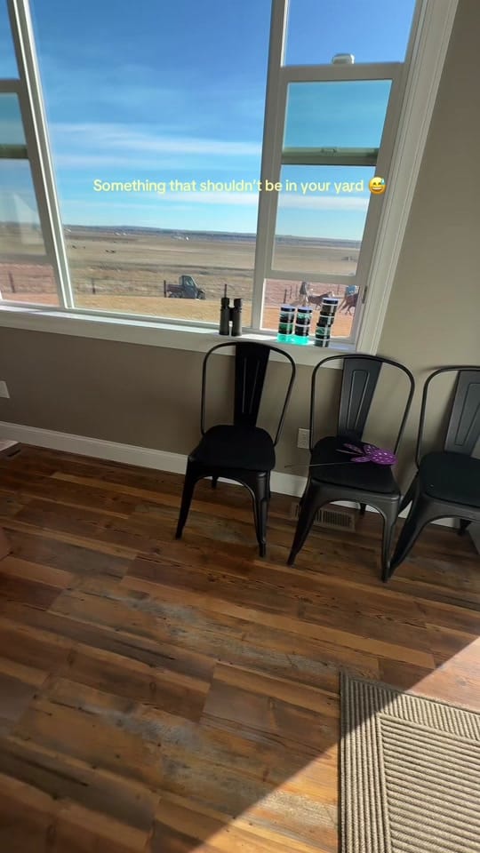 Post 5 by Whitney | MT Ranch & Realtor on TikTok (video)