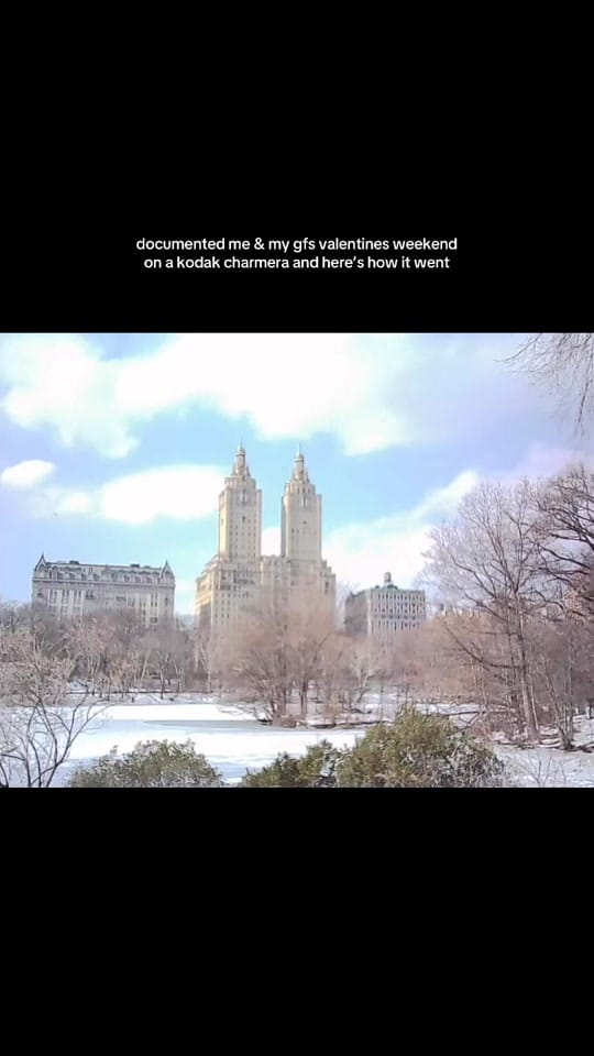 Post 6 by carinagrippo on TikTok (video)
