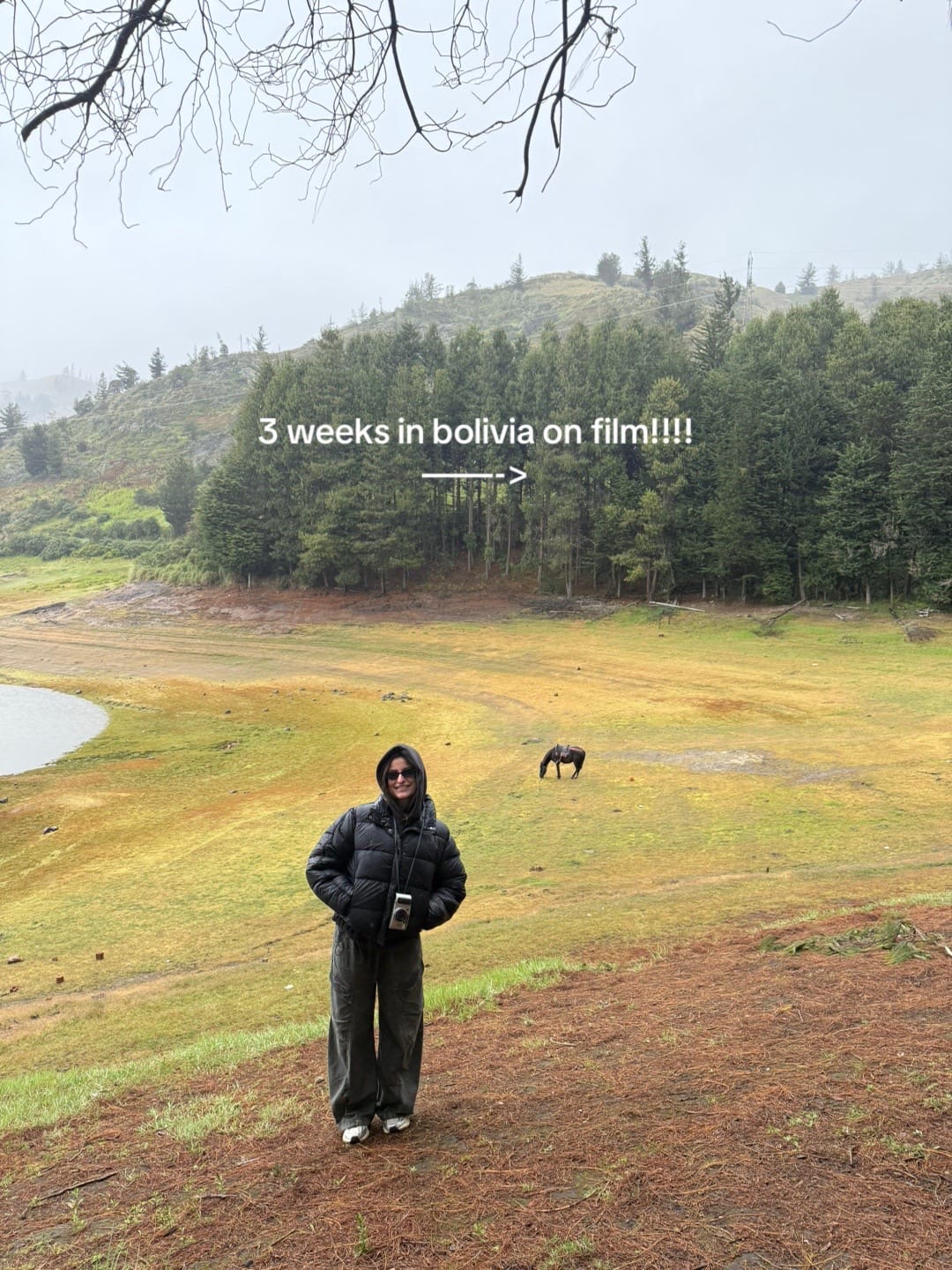 Post 4 by carinagrippo on TikTok (video)