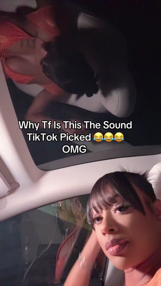 Post 5 by Maybeshannon on TikTok (video)