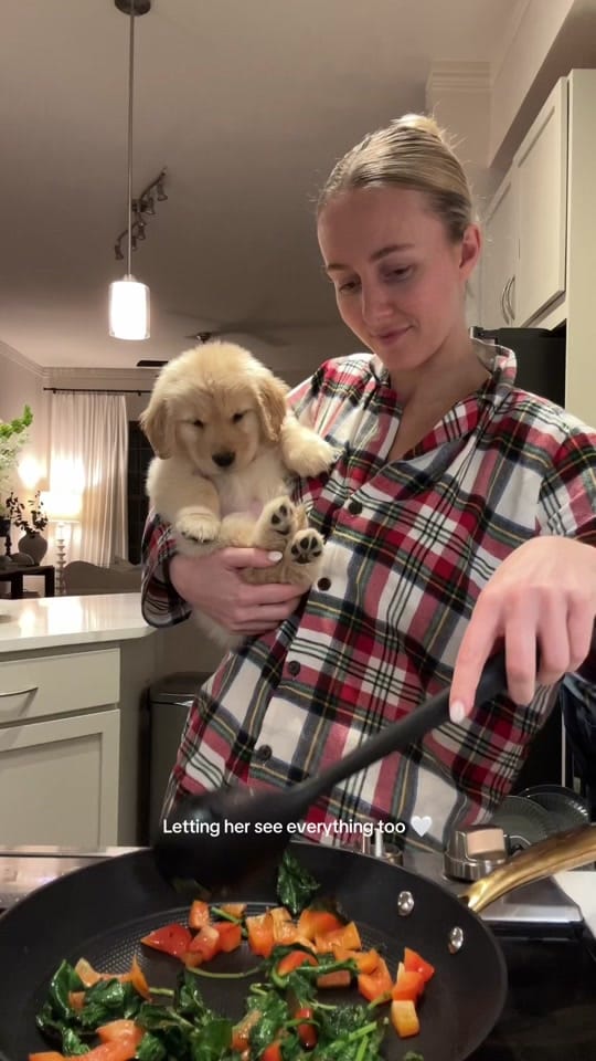 Post 9 by Claire Marchant on TikTok (video)