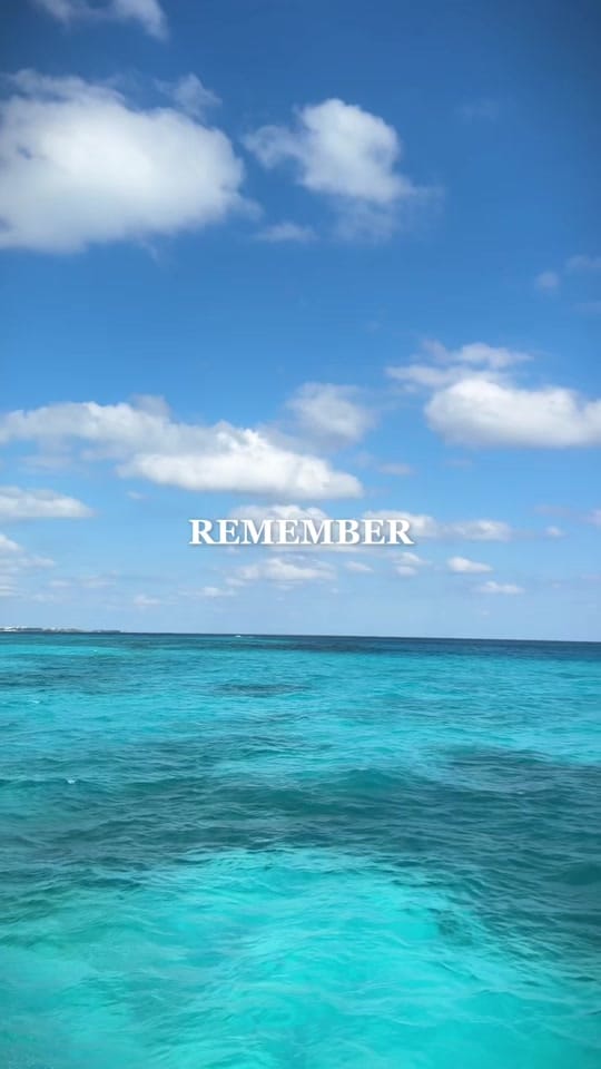 Post 10 by Salma Guevara on TikTok (video)