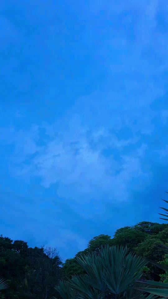 Post 6 by WorthEveryMile 🇯🇲 🇻🇳 on TikTok (video)
