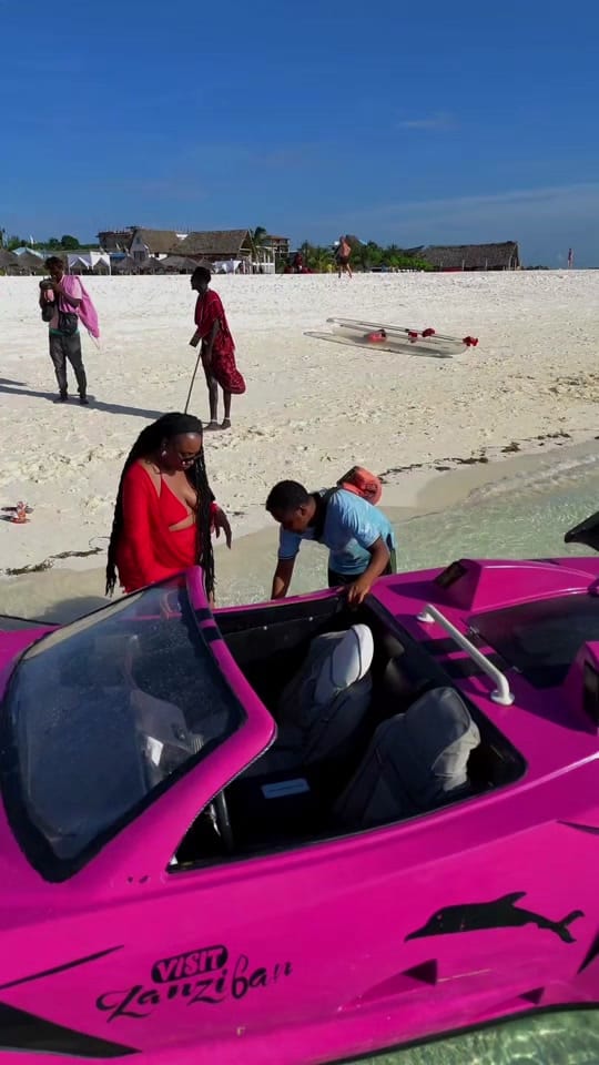 Post 1 by WorthEveryMile 🇯🇲 🇻🇳 on TikTok (video)