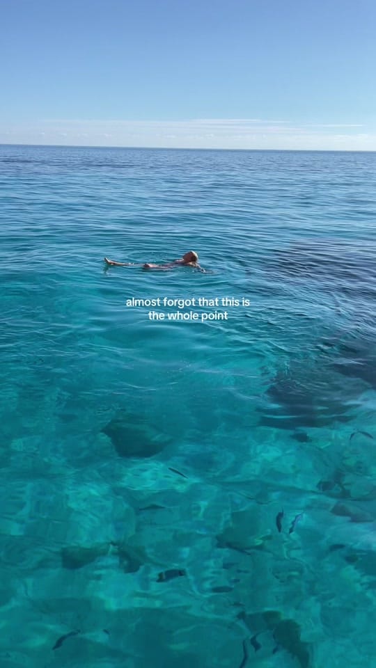 Post 8 by Kendall 🌞 on TikTok (video)