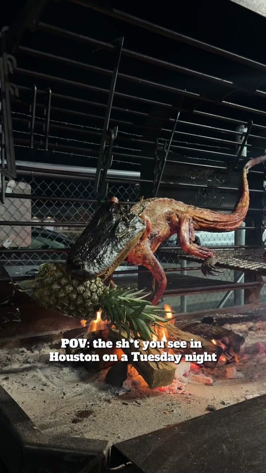 Post 7 by andy on TikTok (video)