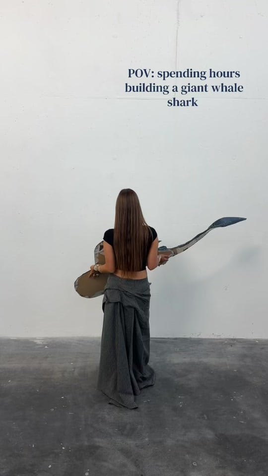 Post 4 by Lauraa on TikTok (video)