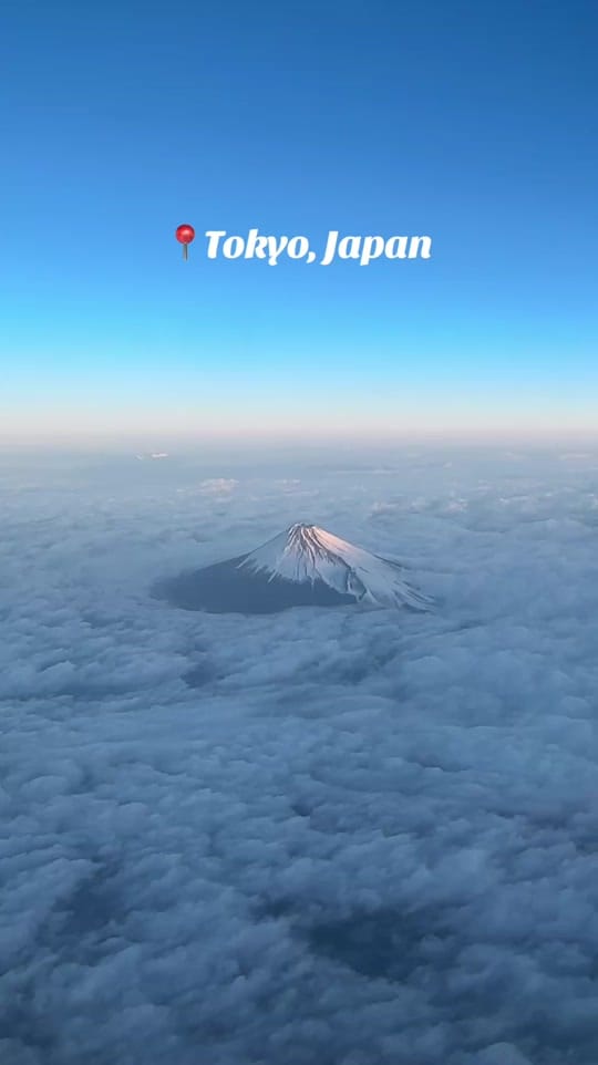 Post 7 by Austin Chui on TikTok (video)