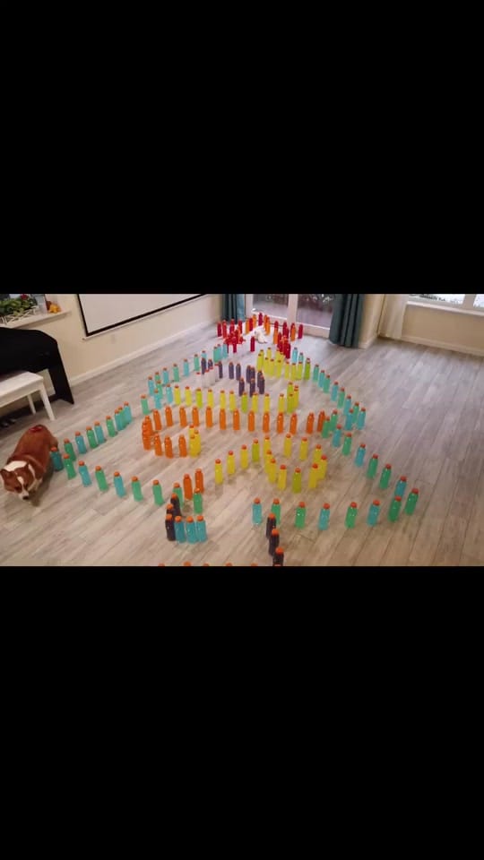 Post 10 by Pino.The.Corgi on TikTok (video)