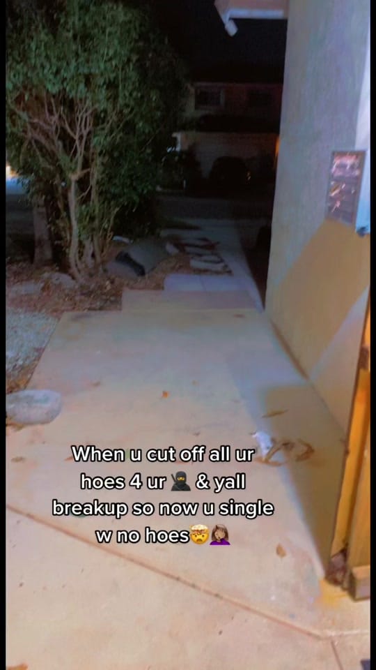 Post 9 by Speakingof_ on TikTok (video)