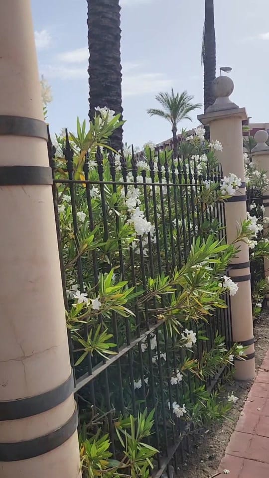 Post 8 by LAmamiLife on TikTok (video)