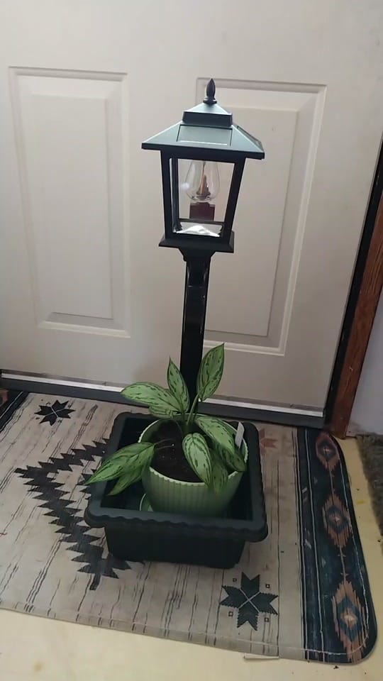 Post 4 by MaidinAR.MadeinWI on TikTok (video)