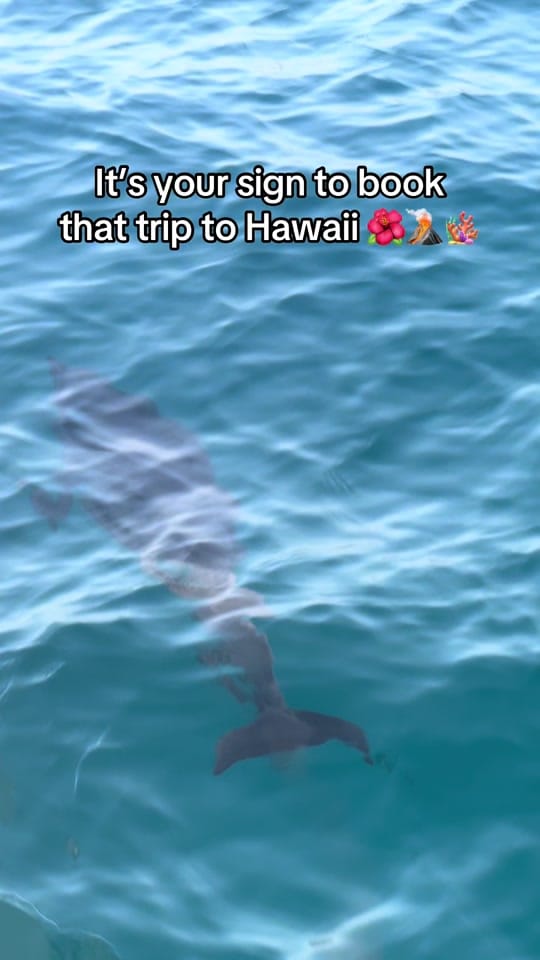 Post 2 by Traveling Undocu | Gabe on TikTok (video)