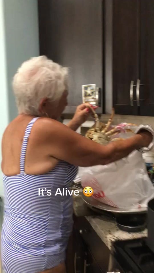 Post 9 by Danielle Burleson on TikTok (video)