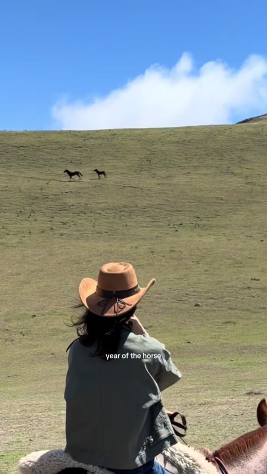 Post 9 by Salli Mandel on TikTok (video)