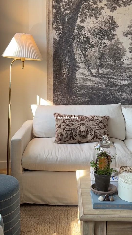 Post 7 by Salli Mandel on TikTok (video)
