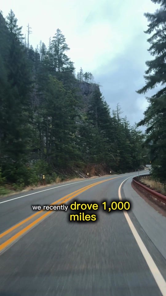 Post 4 by Noms Brews Views on TikTok (video)